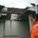 Angin Puting Beliung Terjang Pemukiman Warga Tulungagung, Sebuah Kandang Kambing Roboh.