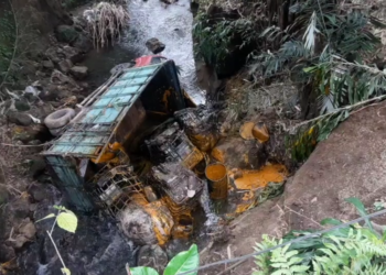 Truk Muatan Limbah Sawit Terjun ke Sungai Blitar, 5 Ton Limbah Tumpah