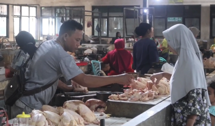 Pedagang Ayam di Pasar Pahing Kediri Keluhkan Sepinya Pembeli