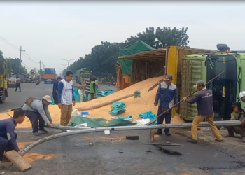 Diduga Sopir Mengantuk, Truk Pakan Ternak Terguling Tabrak Median Jalan di Jombang