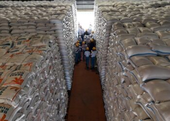 Stok Beras Nasional Tembus 5 Juta Ton, Bulog Kediri Sewa Gudang Demi Tampung Lonjakan Stok