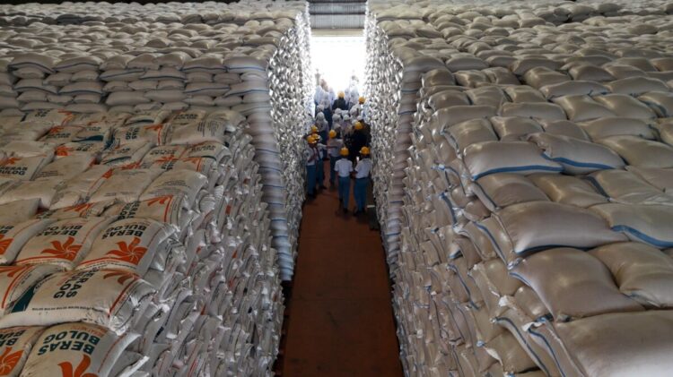 Stok Beras Nasional Tembus 5 Juta Ton, Bulog Kediri Sewa Gudang Demi Tampung Lonjakan Stok