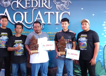 Gairahkan Pembudidaya Lokal, Kediri Aquatic Jadi Ajang Penguatan Ekonomi Sektor Ikan Hias di Jatim