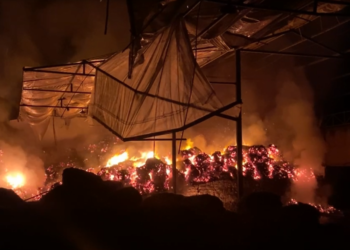 Gudang Penggilingan Sabut Kelapa di Blitar Terbakar, Tiga Ton Cocofiber Siap Ekspor Hangus