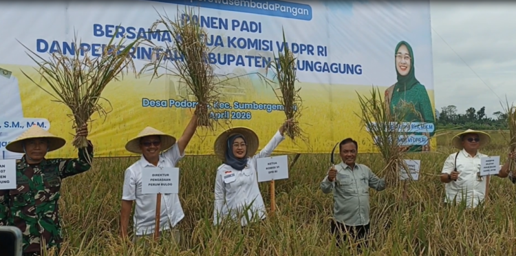 Rekor Sepanjang Sejarah, Stok Beras Jatim Tembus 1,3 Juta Ton di Tengah Ancaman Iklim