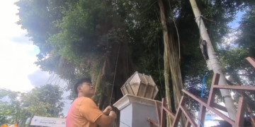 Jaga Kebersihan Alun-Alun, Pemkot Blitar Pasang Alat Pengusir Burung Blekok yang Ramah Lingkungan