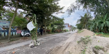Protes Jalan Rusak Bertahun-tahun, Warga Karangrejo Blitar Tanam Pohon Pisang di Tengah Jalan