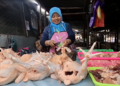 Jelang Idul Adha, Harga Daging Ayam di Kediri Meroket Tembus Rp 36 Ribu per Kilogram