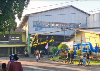 Dukung Ketahanan Pangan, Pemkab Tulungagung Siapkan Perluasan Lahan Tebu 3 Ribu Hektare
