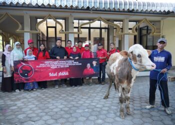Rawat Semangat Gotong Royong, PDI Perjuangan Kabupaten Kediri Distribusikan 4 Ekor Sapi Kurban