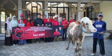 Rawat Semangat Gotong Royong, PDI Perjuangan Kabupaten Kediri Distribusikan 4 Ekor Sapi Kurban