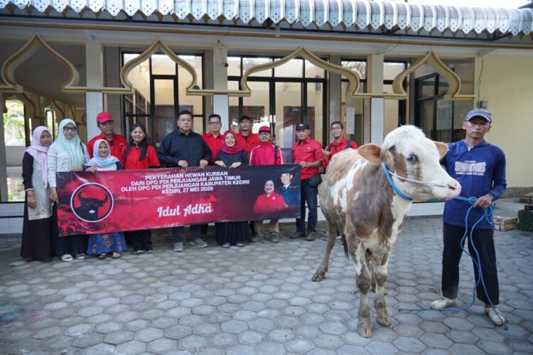 Rawat Semangat Gotong Royong, PDI Perjuangan Kabupaten Kediri Distribusikan 4 Ekor Sapi Kurban