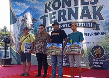 Perdana Pasca Pandemi, Sapi Jumbo 1,2 Ton Sabet Juara Kontes Ternak Kabupaten Kediri 2026