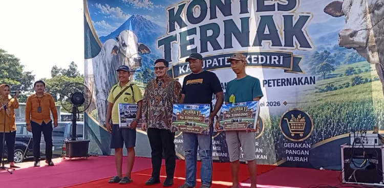 Perdana Pasca Pandemi, Sapi Jumbo 1,2 Ton Sabet Juara Kontes Ternak Kabupaten Kediri 2026