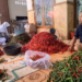 Petani Ngletih Kediri Semringah, Panen Raya Bertepatan dengan Meroketnya Harga Cabai Merah Keriting