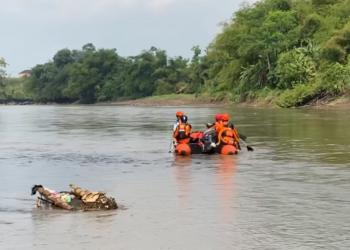 Maut di Balik Tradisi Pladu Brantas: Dua Selamat, Satu Warga Kesamben Blitar Hanyut Terseret Arus