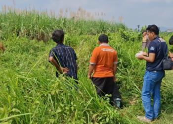 Lima Hari Menghilang, Nenek Sebatang Kara di Tulungagung Ditemukan Tewas di Kebun Tebu