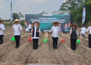 Dukung Swasembada Gula Nasional, Khofifah Galakkan Tanam Tebu Serentak dari Kediri