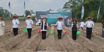 Dukung Swasembada Gula Nasional, Khofifah Galakkan Tanam Tebu Serentak dari Kediri