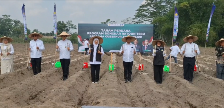 Dukung Swasembada Gula Nasional, Khofifah Galakkan Tanam Tebu Serentak dari Kediri