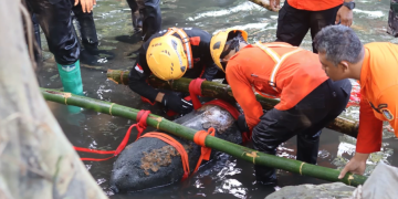 Mortir Raksasa 1,5 Meter Ditemukan di Sungai Blitar, Diduga Masih Aktif