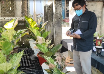 Puluhan Tanaman Hias Unjuk Gigi, Kontes Anthurium Kediri Raya Sedot Animo Masyarakat