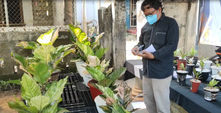 Puluhan Tanaman Hias Unjuk Gigi, Kontes Anthurium Kediri Raya Sedot Animo Masyarakat