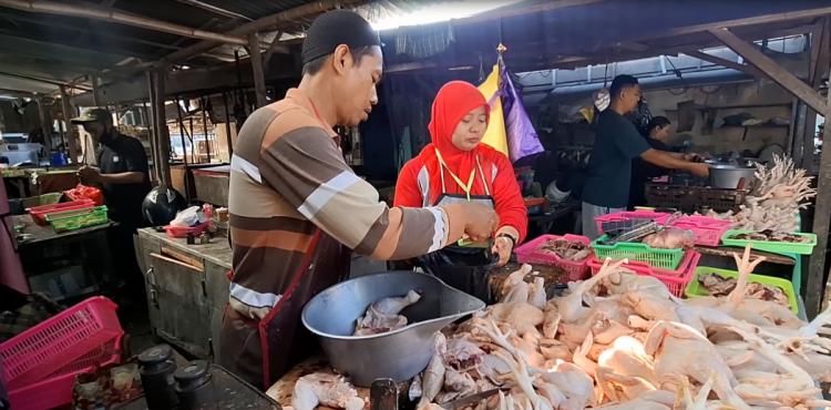 Imbas Program MBG Libur, Harga Daging Ayam di Kediri Anjlok Rp 5 Ribu