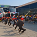 Lomba Adu Kuat Tarik Bus 12 Ton Semarakkan Kemerdekaan di Tulungagung