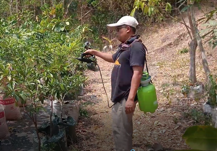 Enggan Ketergantungan Pupuk Kimia Pabrikan, Warga Tulungagung Racik Limbah Dapur Jadi Nutrisi Tanaman