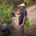 Enggan Ketergantungan Pupuk Kimia Pabrikan, Warga Tulungagung Racik Limbah Dapur Jadi Nutrisi Tanaman