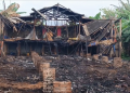 Kandang Ayam di Tulungagung Ludes Terbakar, Kerugian Capai Rp 1 Miliar