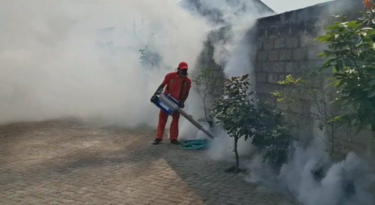 Tekan Angka DBD, Dinkes Kota Kediri Gencarkan Fogging di Pemukiman Warga
