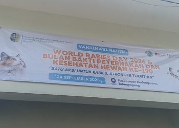 Lindungi Peliharaan, Tulungagung Siapkan 500 Dosis Vaksin Rabies Gratis