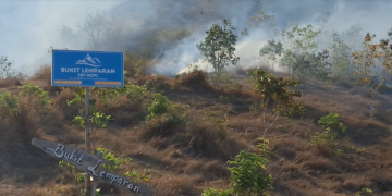 Bukit Lemparan Gunung Budheg Terbakar Lagi, Lahan Wisata dan Hutan Jati Ludes Dilalap Api