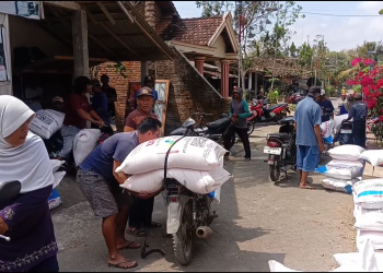 Penyaluran Pupuk Bersubsidi di Trenggalek Tembus 80 Persen, Penebusan Kini Berdasarkan Musim Tanam