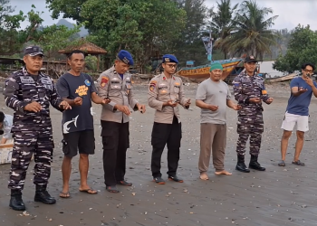 Nyasar ke Permukiman, Puluhan Tukik Penyu Belimbing di Pantai Sidem Tulungagung Diselamatkan Warga