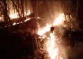 Amukan Si Jago Merah Nyaris Lahap Permukiman di Tulungagung, 10 Hektar Hutan Jati Hangus