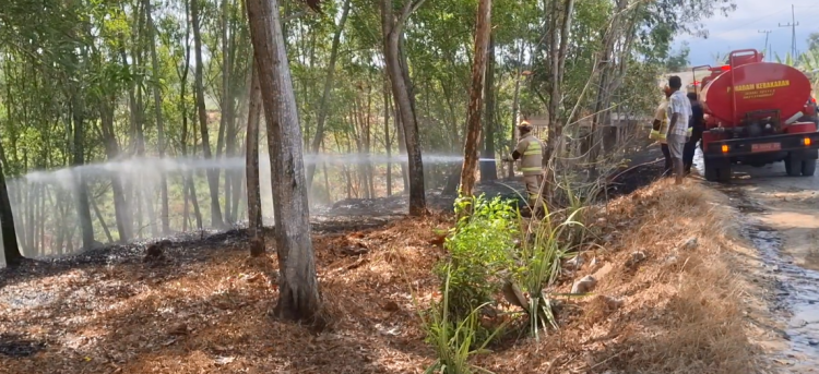 Lahan Akasia Dua Hektar di Tulungagung Terbakar, Api Nyaris Jilat Permukiman Warga