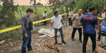 Malu Hamil di Luar Nikah, Ibu Muda di Kediri Bekap Bayi hingga Tewas dan Disimpan di Lemari