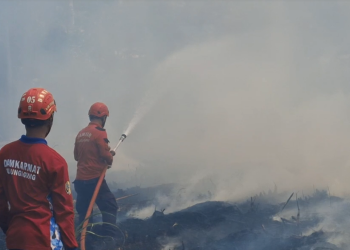 Belum Genap Sehari, Damkar Tulungagung Keteteran Tangani Enam Kebakaran Beruntun