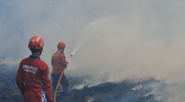 Belum Genap Sehari, Damkar Tulungagung Keteteran Tangani Enam Kebakaran Beruntun