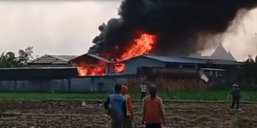 Lautan Api Hanguskan Pabrik Egg Tray di Pakel Tulungagung, Kerugian Tembus Seratus Juta