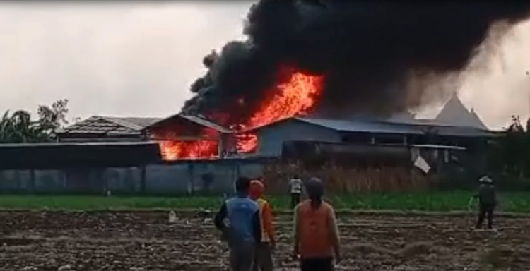 Lautan Api Hanguskan Pabrik Egg Tray di Pakel Tulungagung, Kerugian Tembus Seratus Juta
