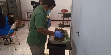 Cegah Penularan, Disnakkan Trenggalek Sediakan Vaksinasi Rabies Gratis Untuk Hewan Peliharaan