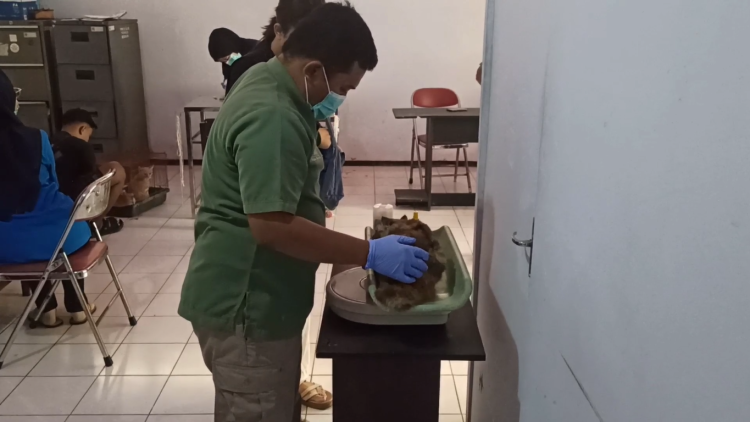 Cegah Penularan, Disnakkan Trenggalek Sediakan Vaksinasi Rabies Gratis Untuk Hewan Peliharaan